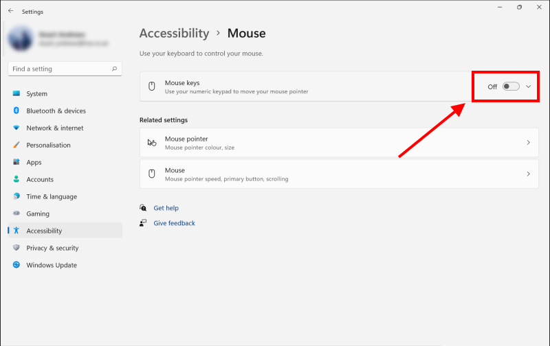 Click the toggle switch for Mouse Keys